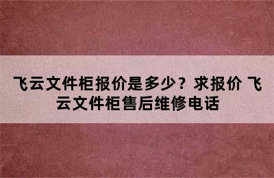 飞云文件柜报价是多少？求报价 飞云文件柜售后维修电话